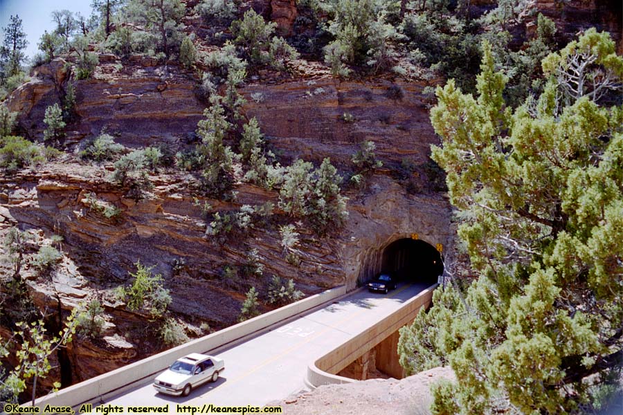 Canyon Overlook Trail