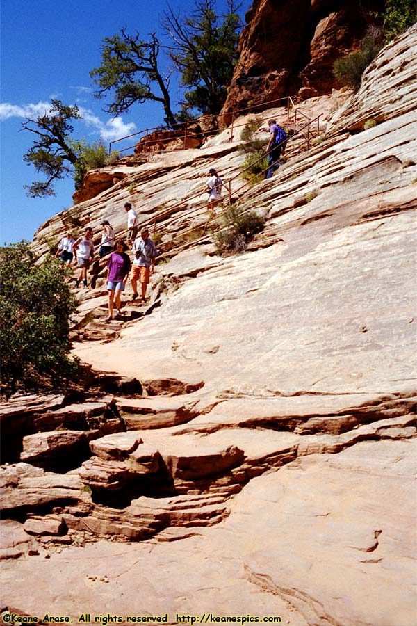 Canyon Overlook Trail