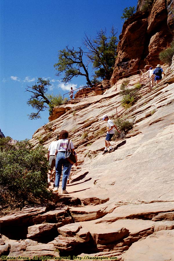 Canyon Overlook Trail