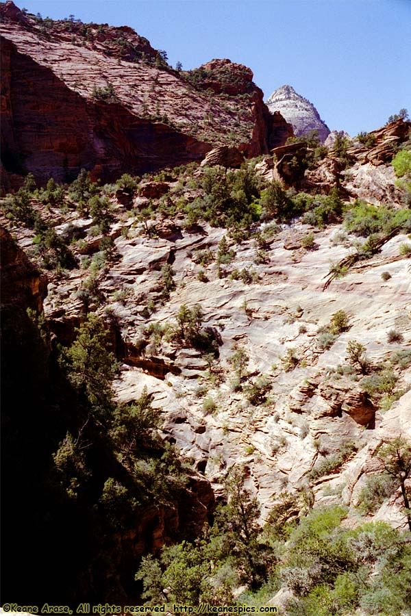 Canyon Overlook Trail