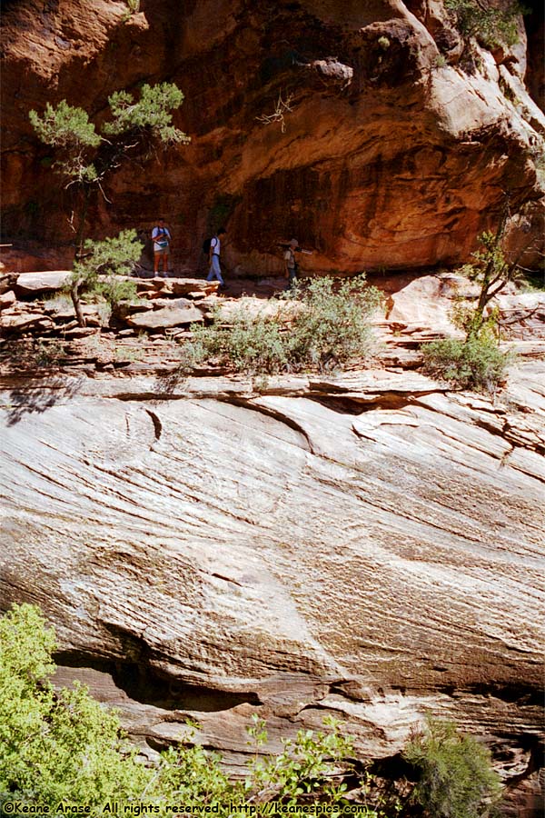 Canyon Overlook Trail