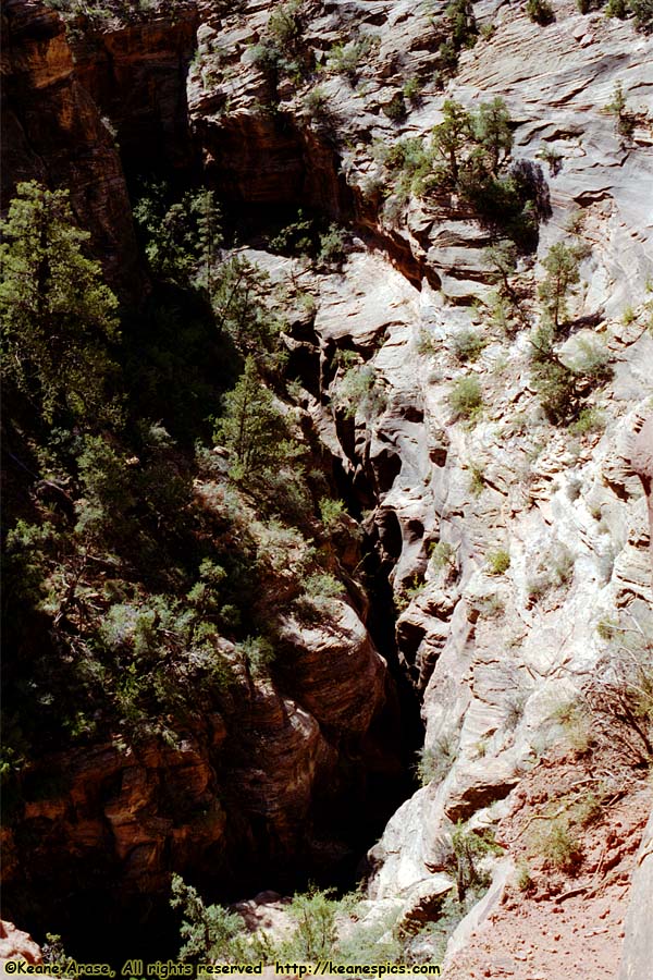 Canyon Overlook Trail