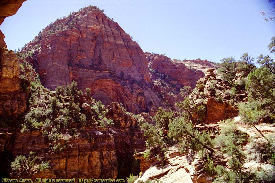 Canyon Overlook Trail