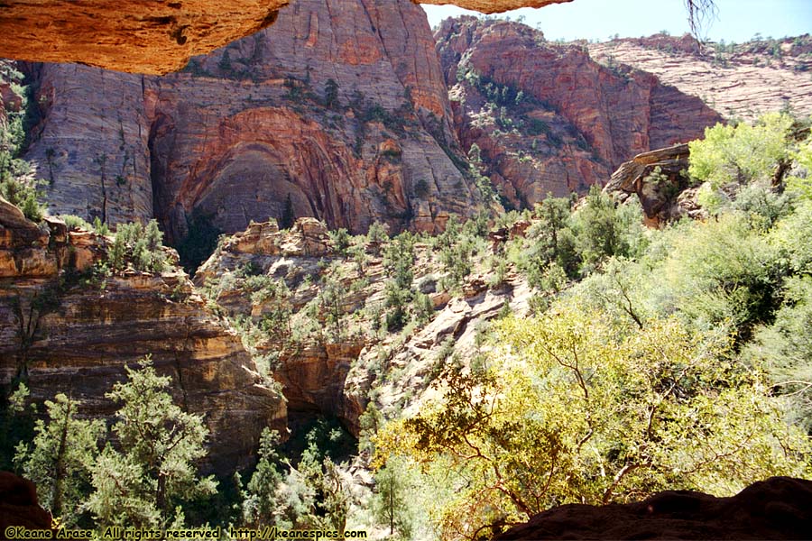 Canyon Overlook Trail