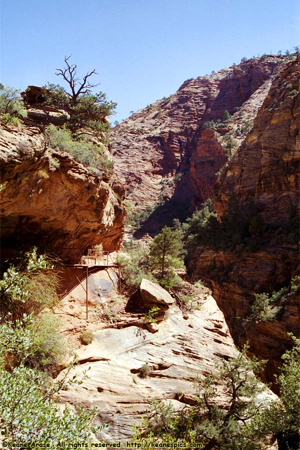 Canyon Overlook Trail