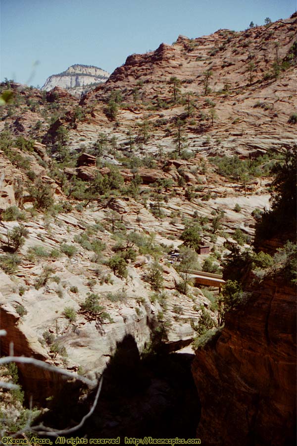 Canyon Overlook Trail