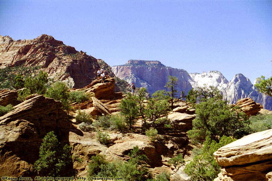 Canyon Overlook Trail