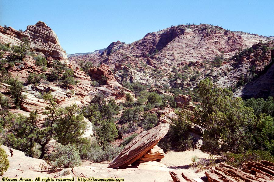 Canyon Overlook Trail