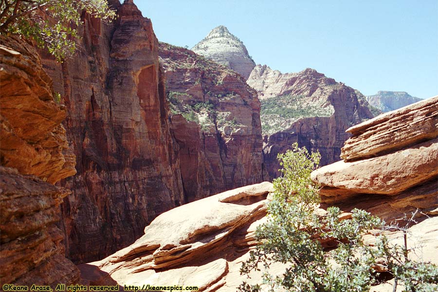 Canyon Overlook Trail