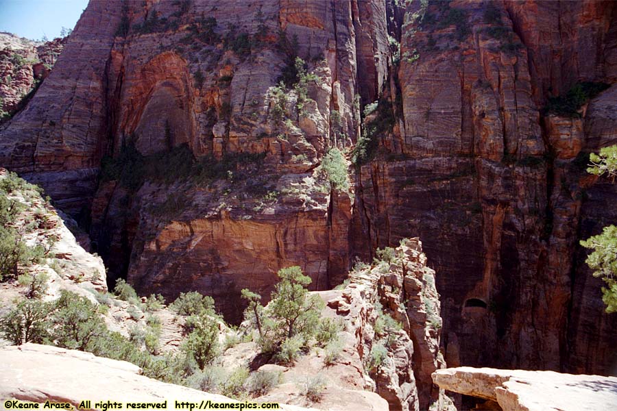 Canyon Overlook Trail