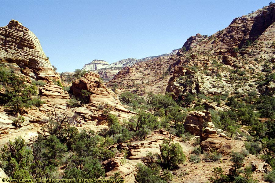 Canyon Overlook Trail