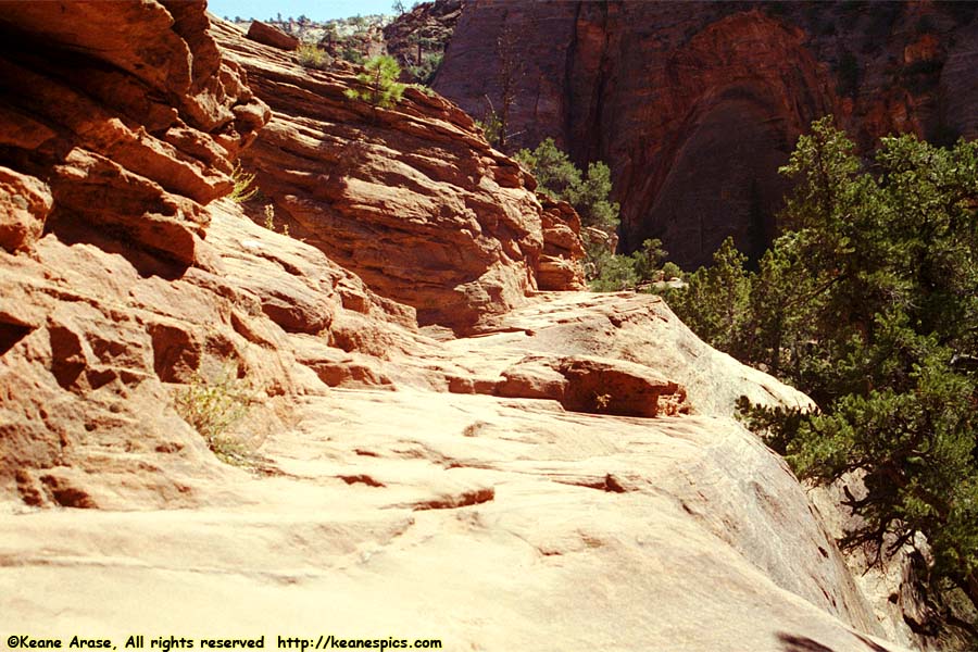 Canyon Overlook Trail