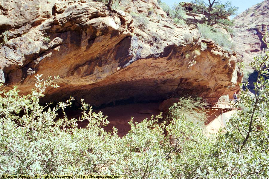 Canyon Overlook Trail