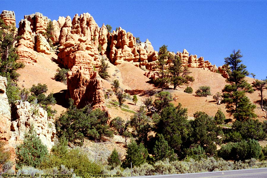 Red Canyon