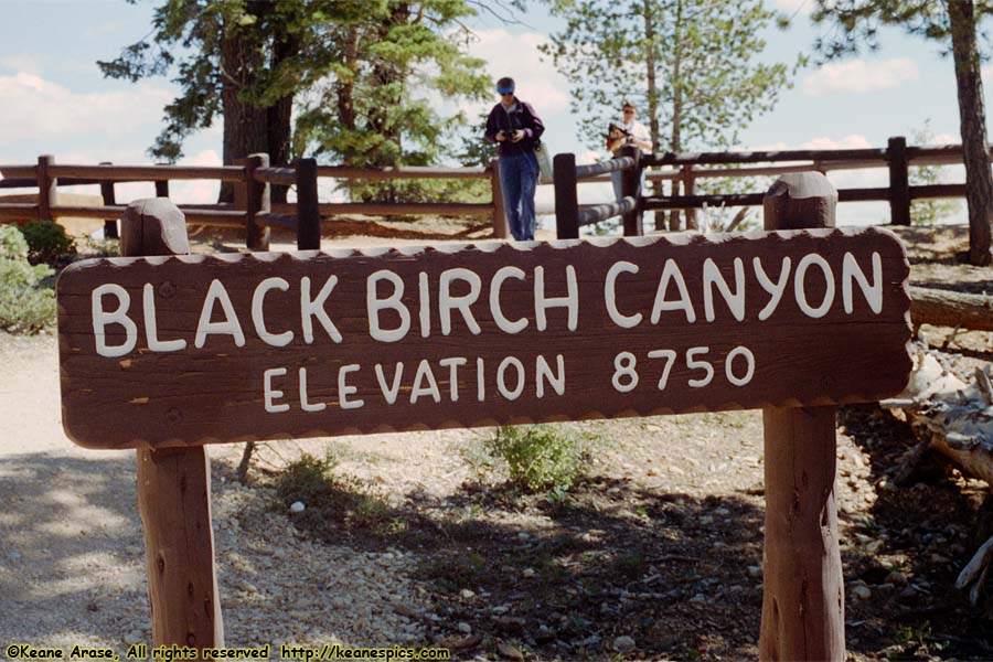 Black Birch Canyon