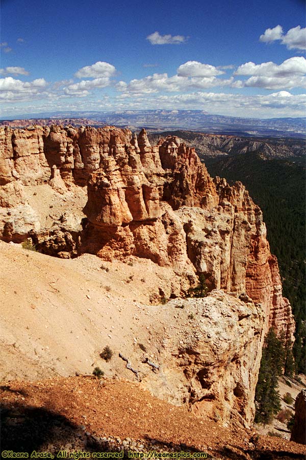 Black Birch Canyon