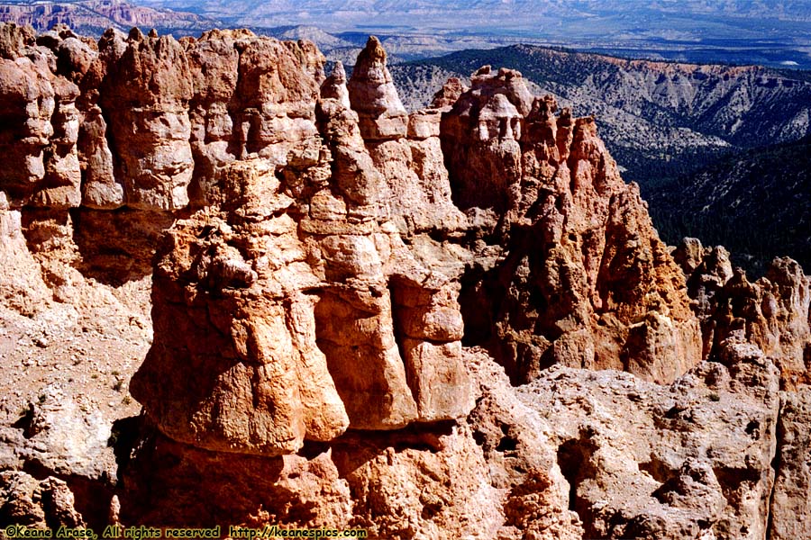 Black Birch Canyon