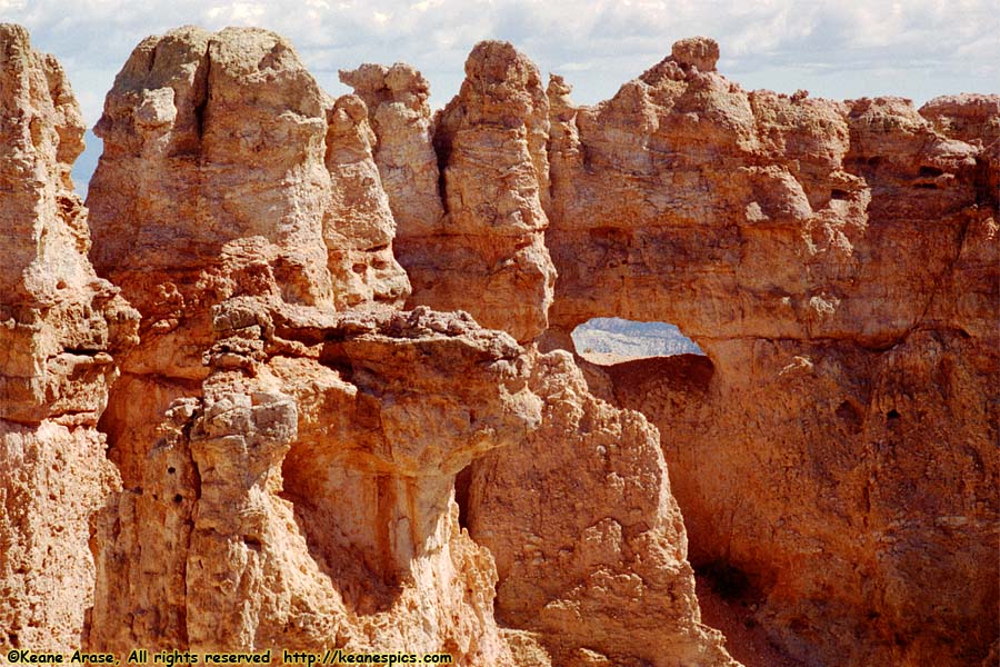 Black Birch Canyon