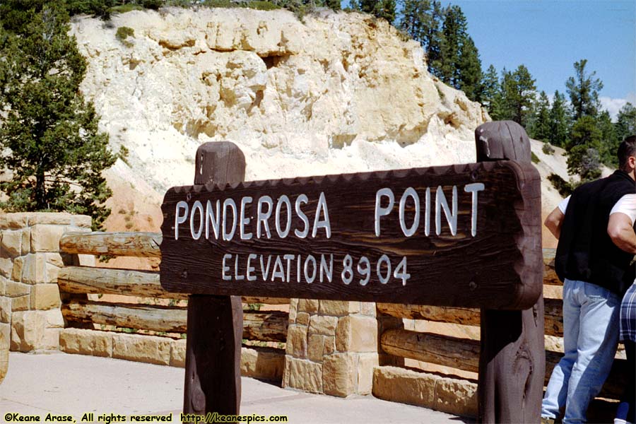 Ponderosa Point