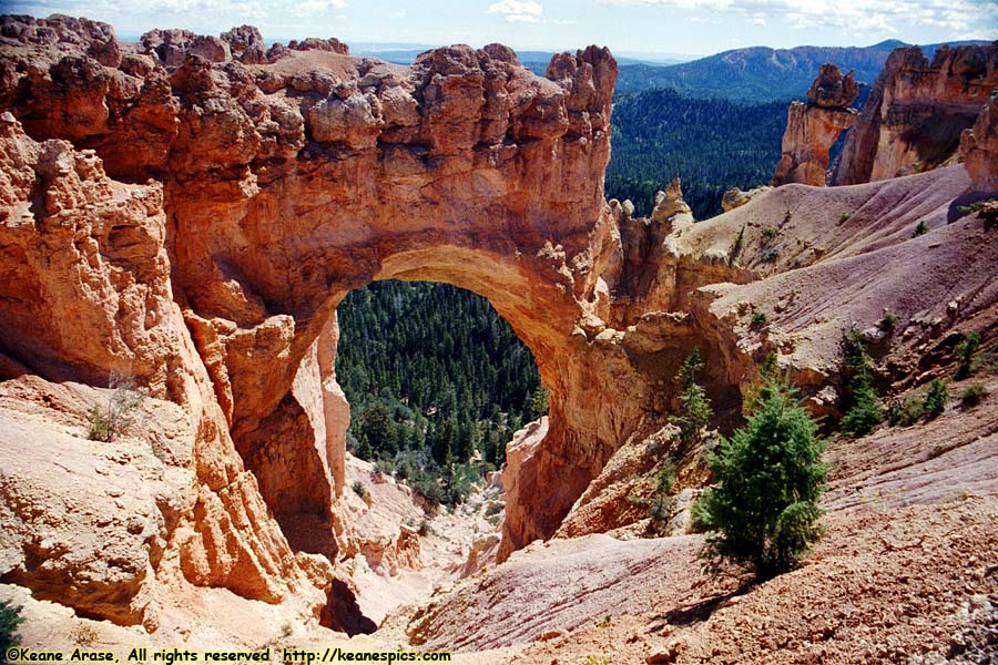 Natural Bridge