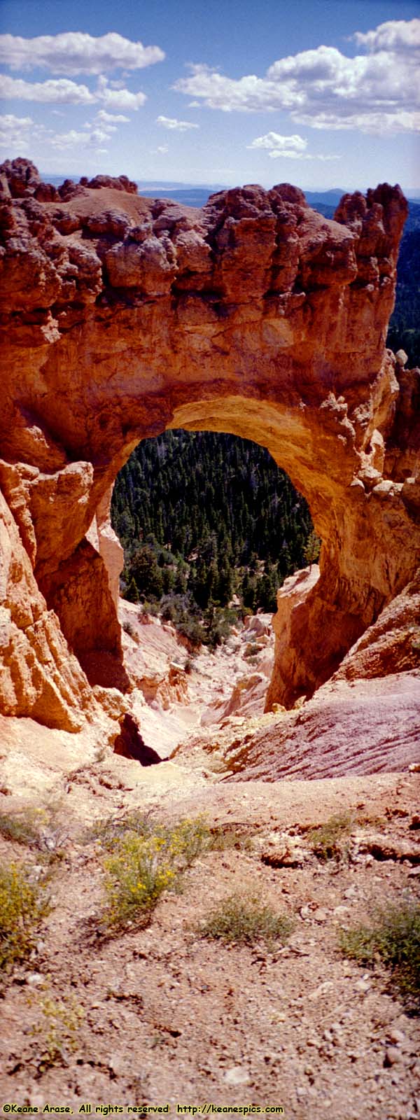 Natural Bridge