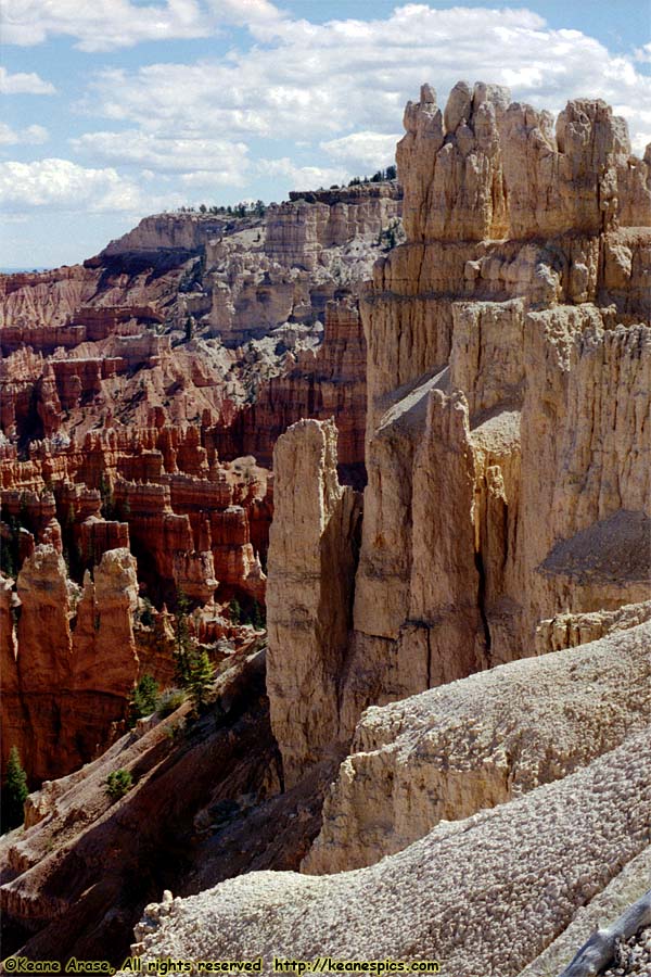 Bryce Point