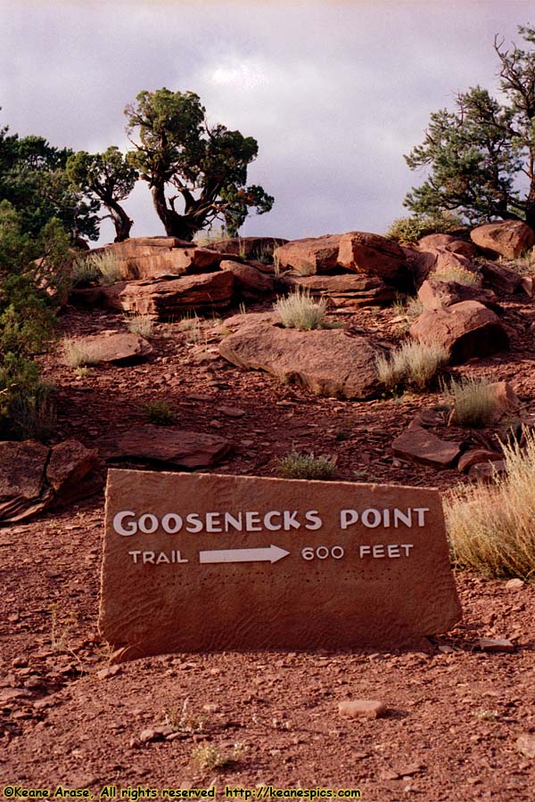 Goosenecks Point