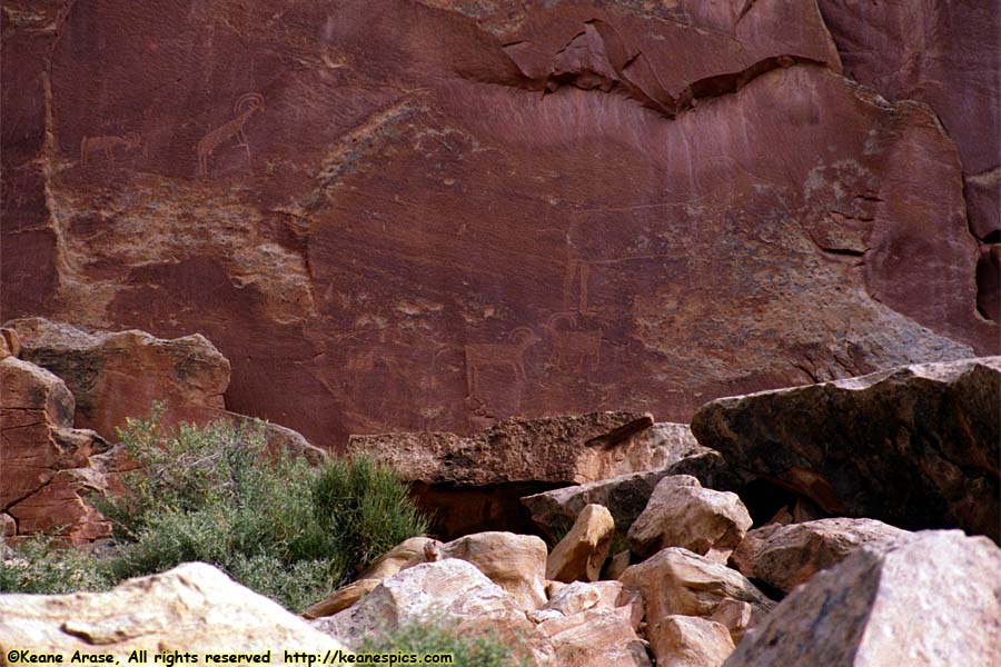 Petroglyphs