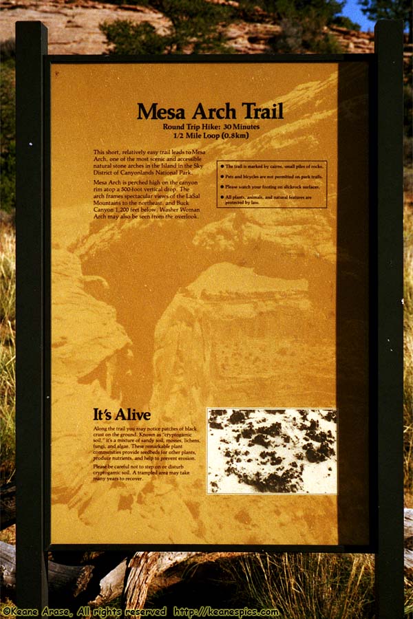 Mesa Arch Trail