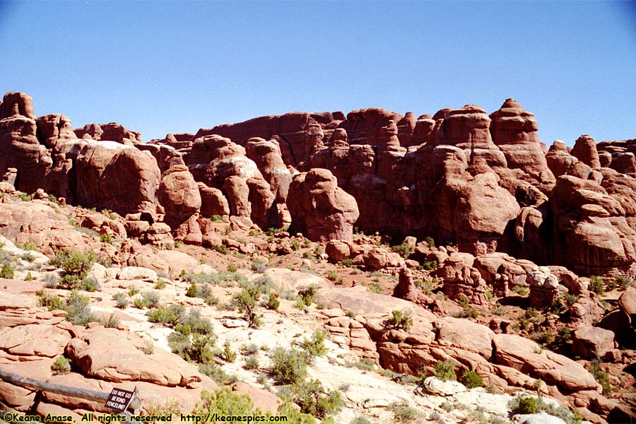 Fiery Furnace