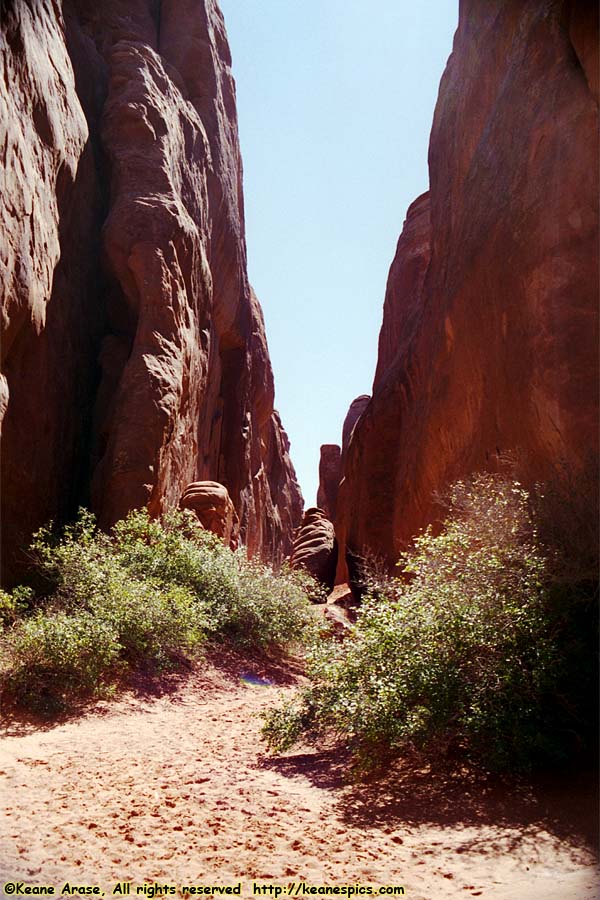 Sand Dune Arch Trail