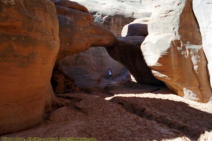 Sand Dune Arch Trail