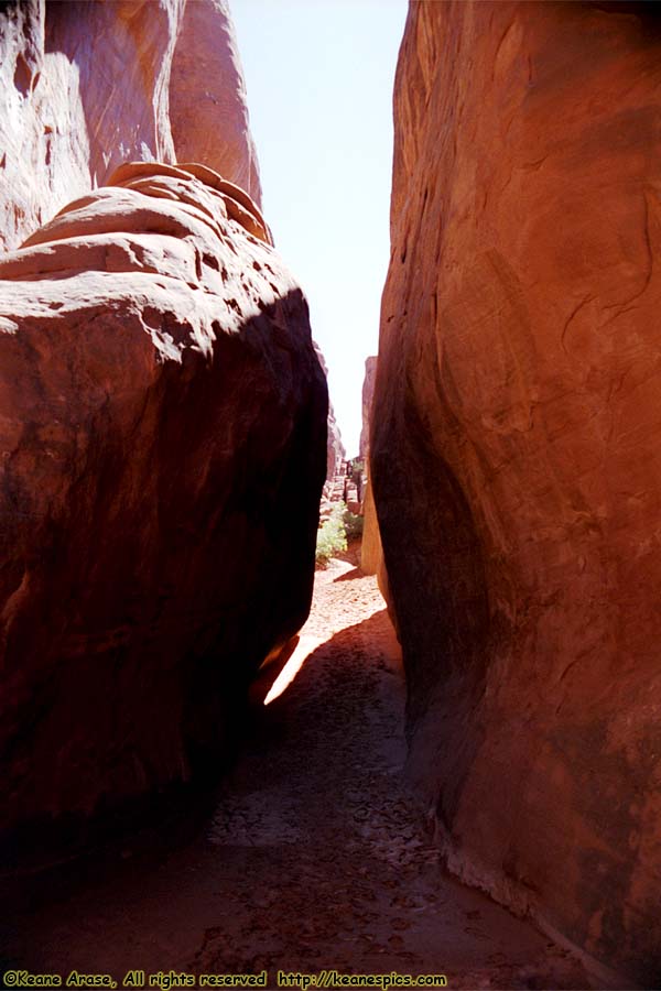 Sand Dune Arch Trail