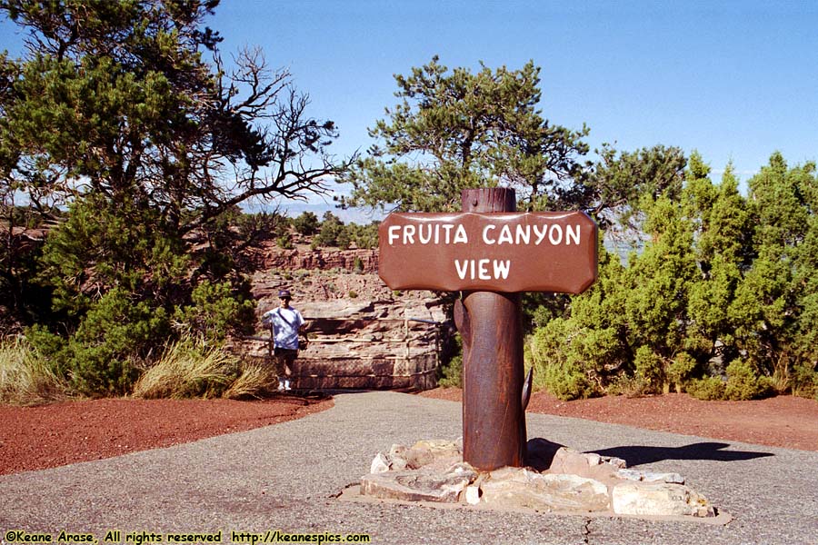 Fruita Canyon View