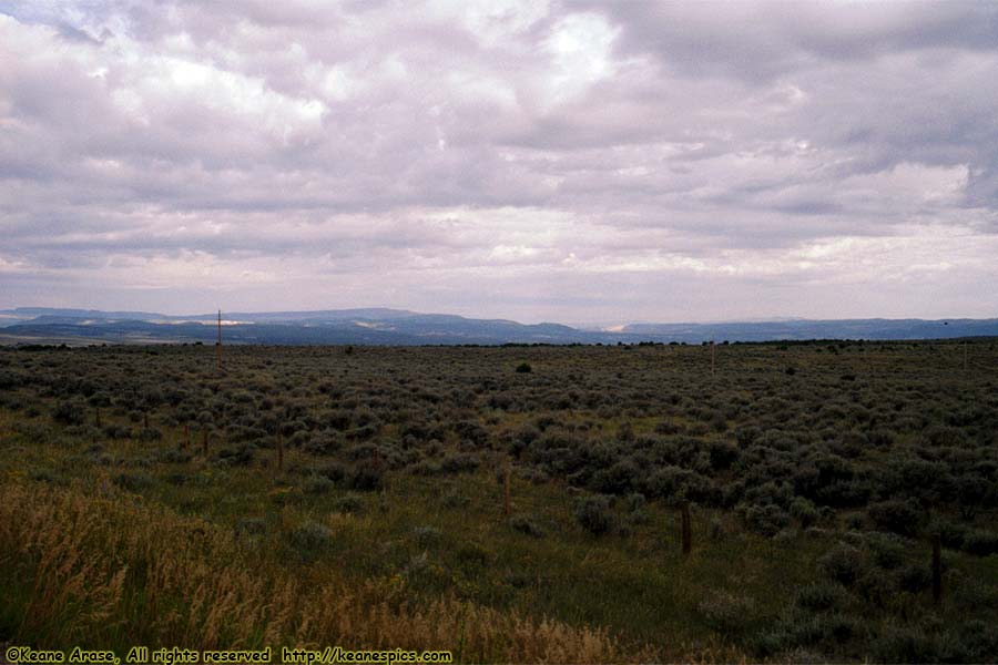 Grasslands