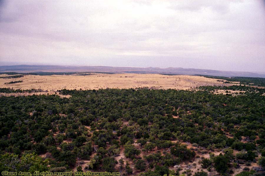 BLM Land