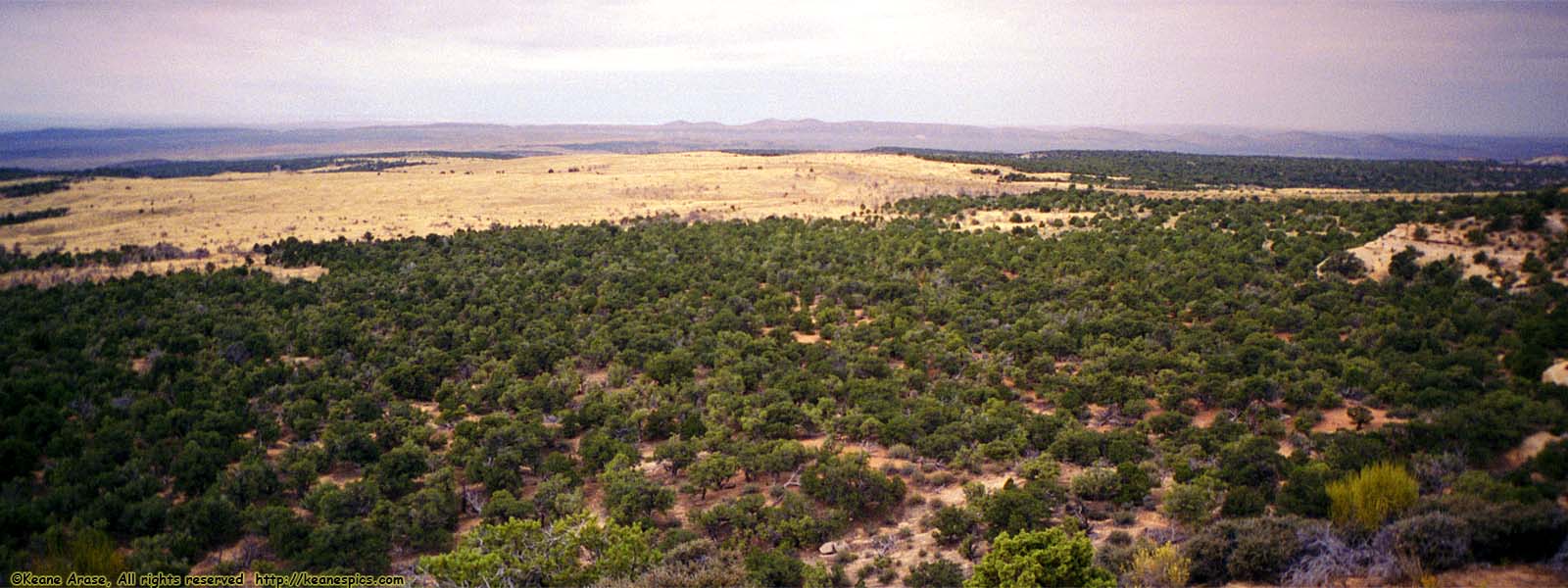 BLM Land