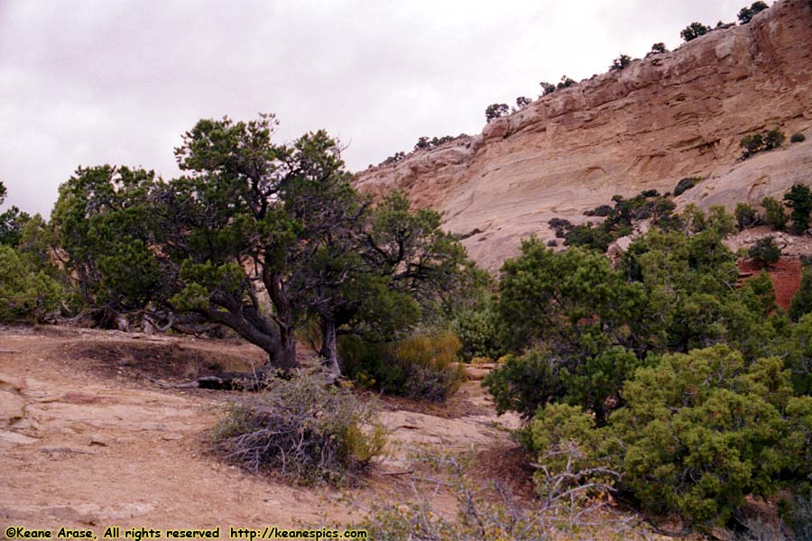 Plug Hat Butte