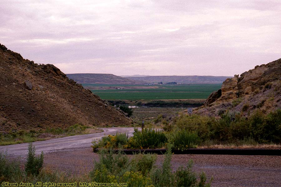 Along Cub Creek Road