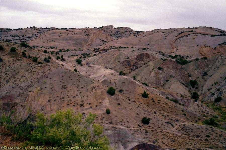 Along Cub Creek Road