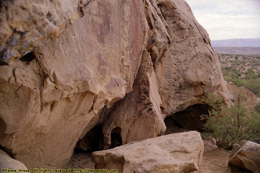 Swelter Shelter