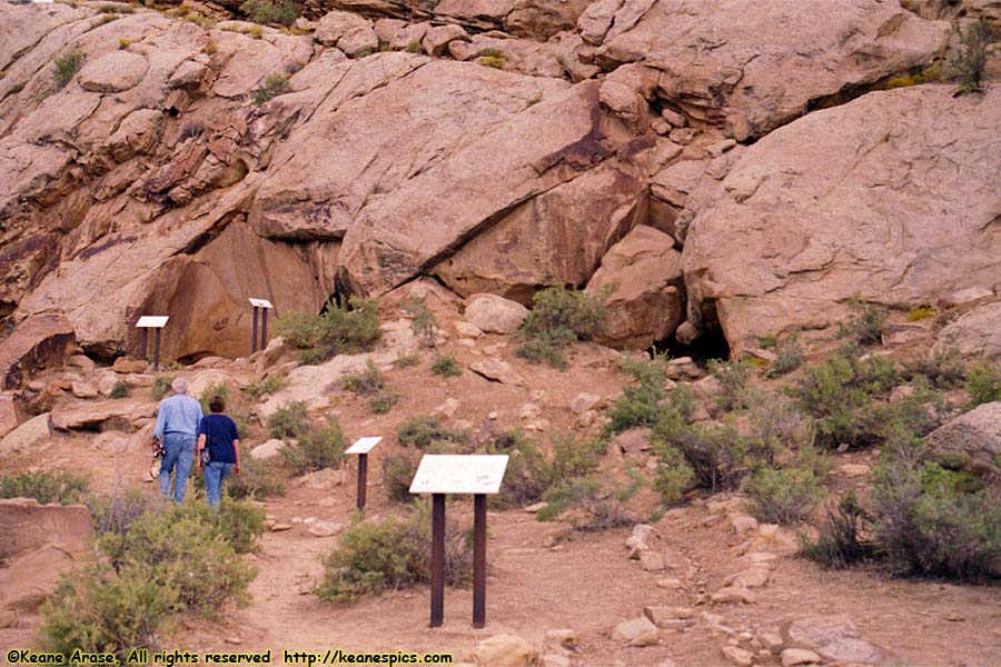 Swelter Shelter