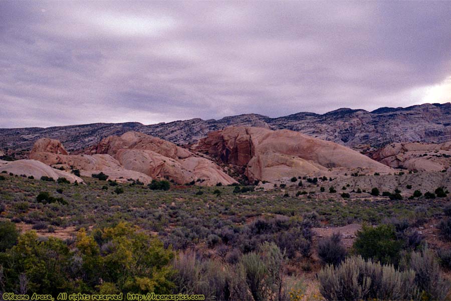 Along Cub Creek Road