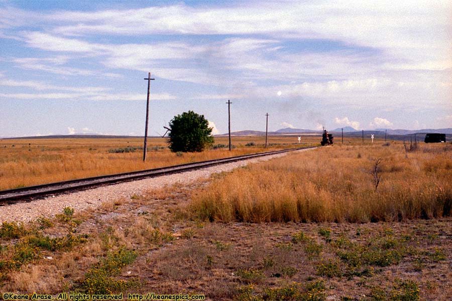 Union Pacific 119