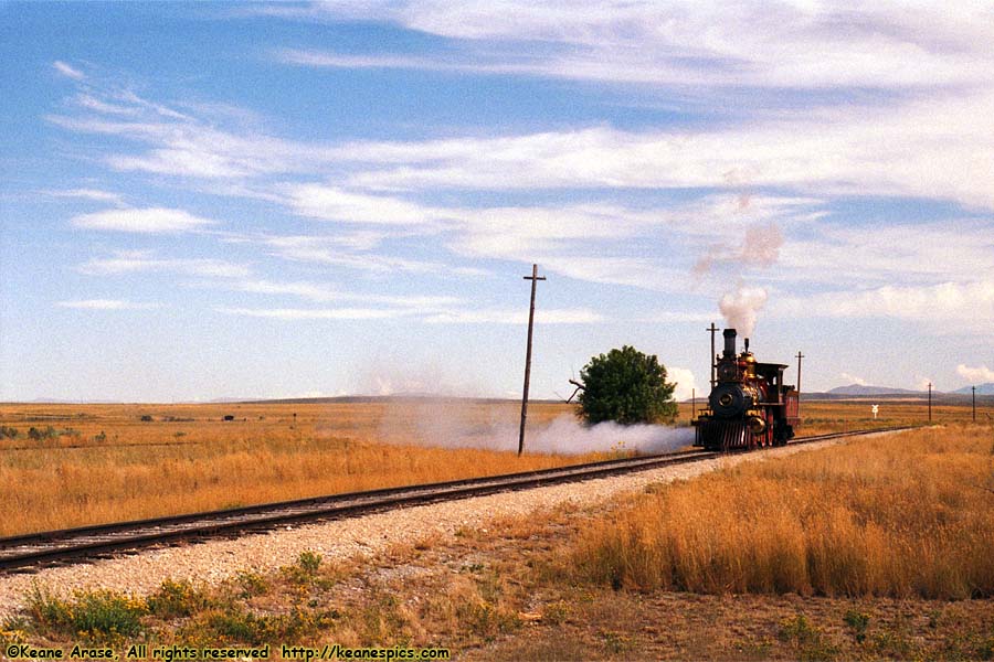 Union Pacific 119