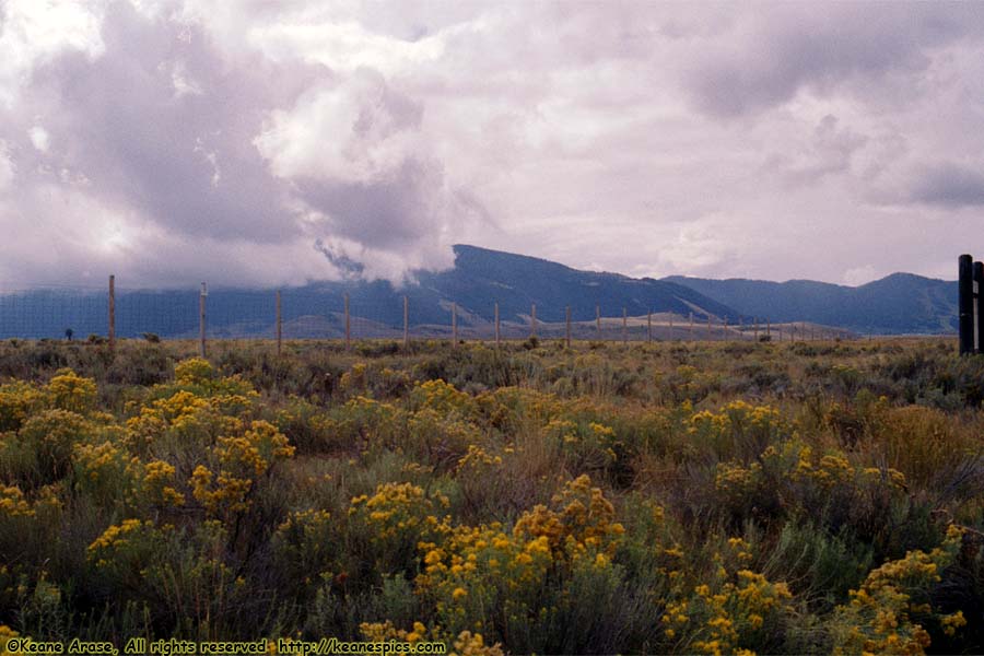 National Elk Refuge