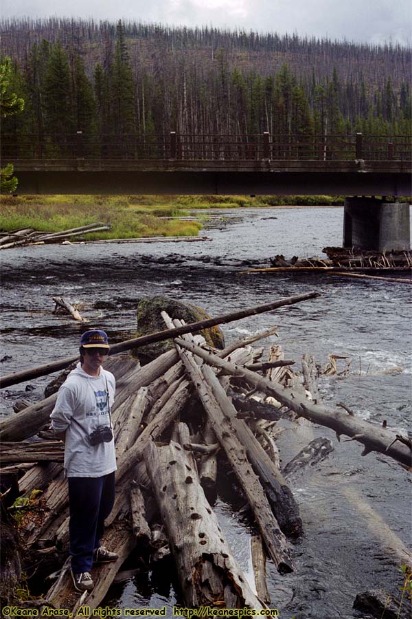 Lewis River