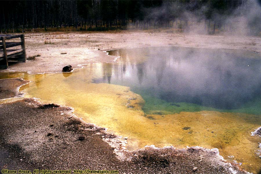 Emerald Pool