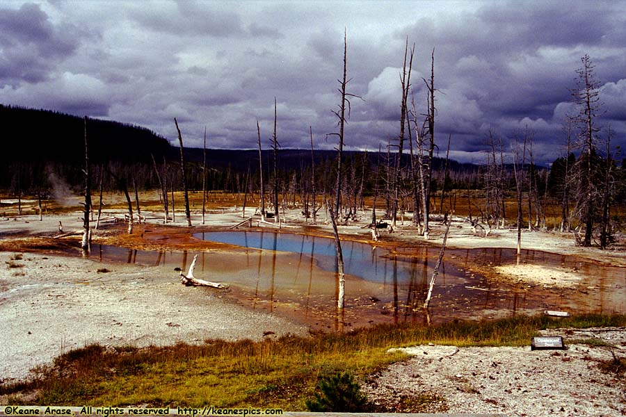 Black Sand Basin