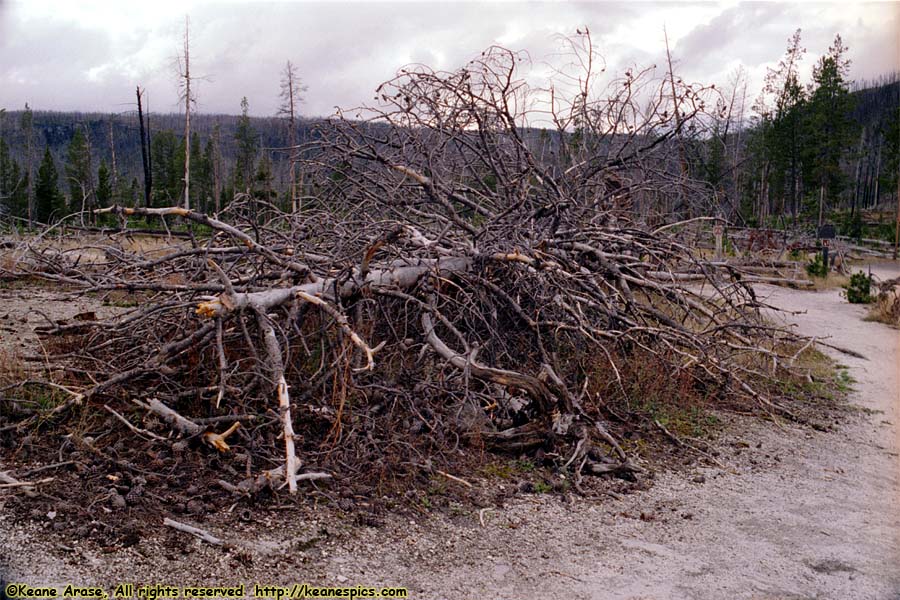 Biscuit Basin